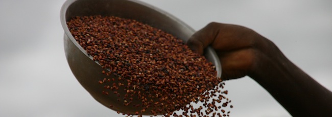 mi avete dato da mangiare