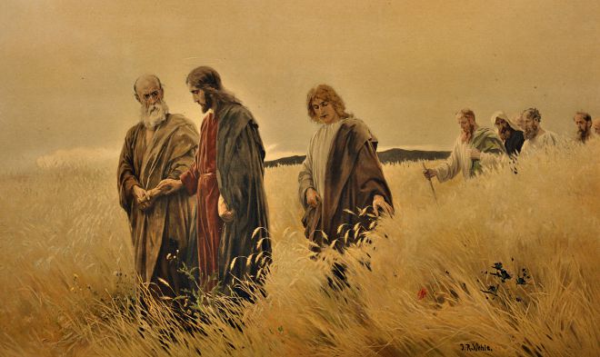 Commento al Vangelo del giorno – 05 Settembre – Il Figlio dell’uomo è signore del sabato