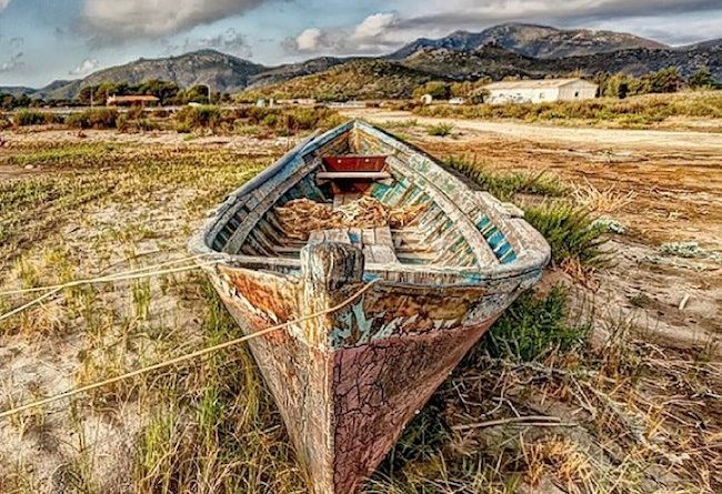 vangelo della domenica