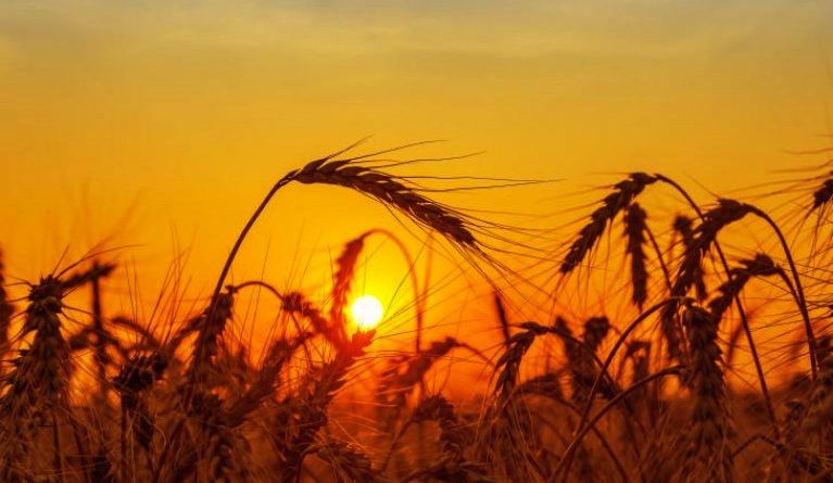 la messe e abbondante